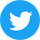 Twitter _Social _Icon _Circle _Color